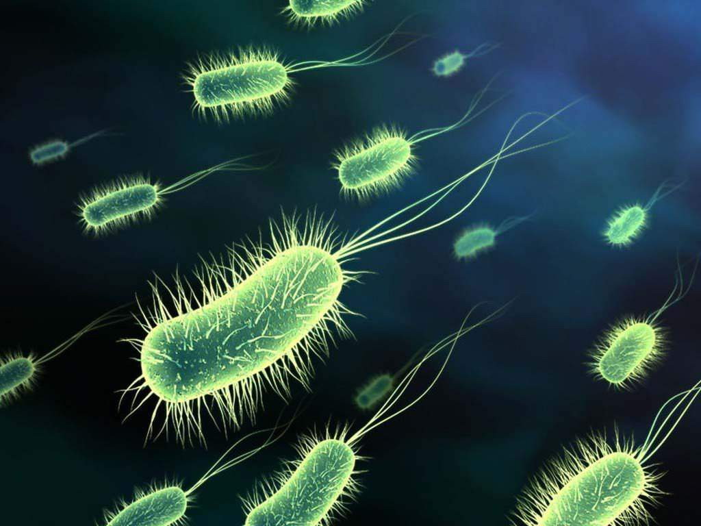 Como aplicar Reiki em Bactérias e Inflamações