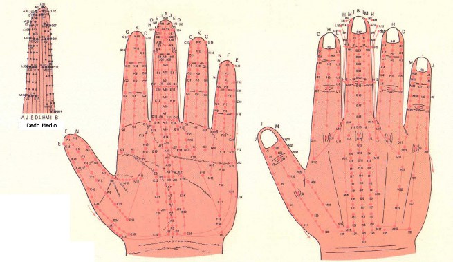 mapas das mão relfexologia