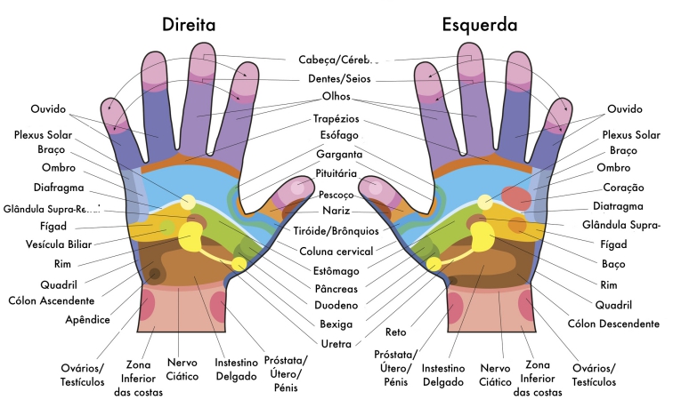 Mapa Reflexologia Das Mãos Pílulas Divinas 