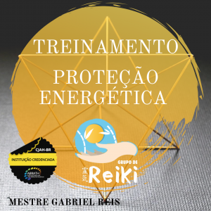 250.250 TREINAMENTO PROTECAO ENERGETICA